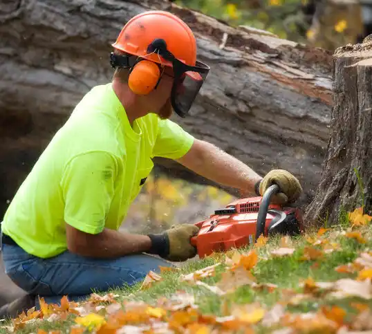 tree services Bucyrus